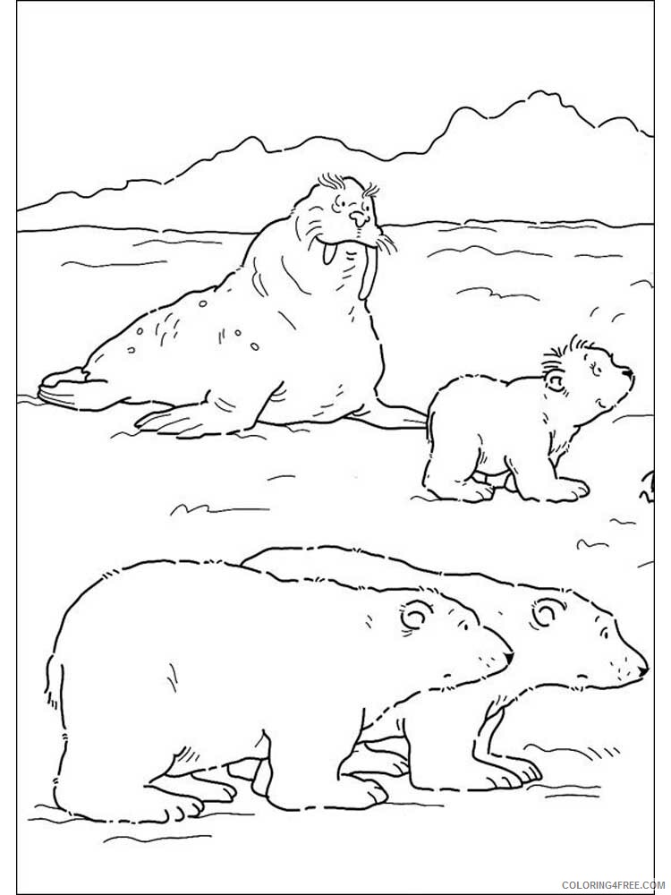 Polar Bear Coloring Pages Animal Printable Sheets Polar Bear 6 2021 3973 Coloring4free