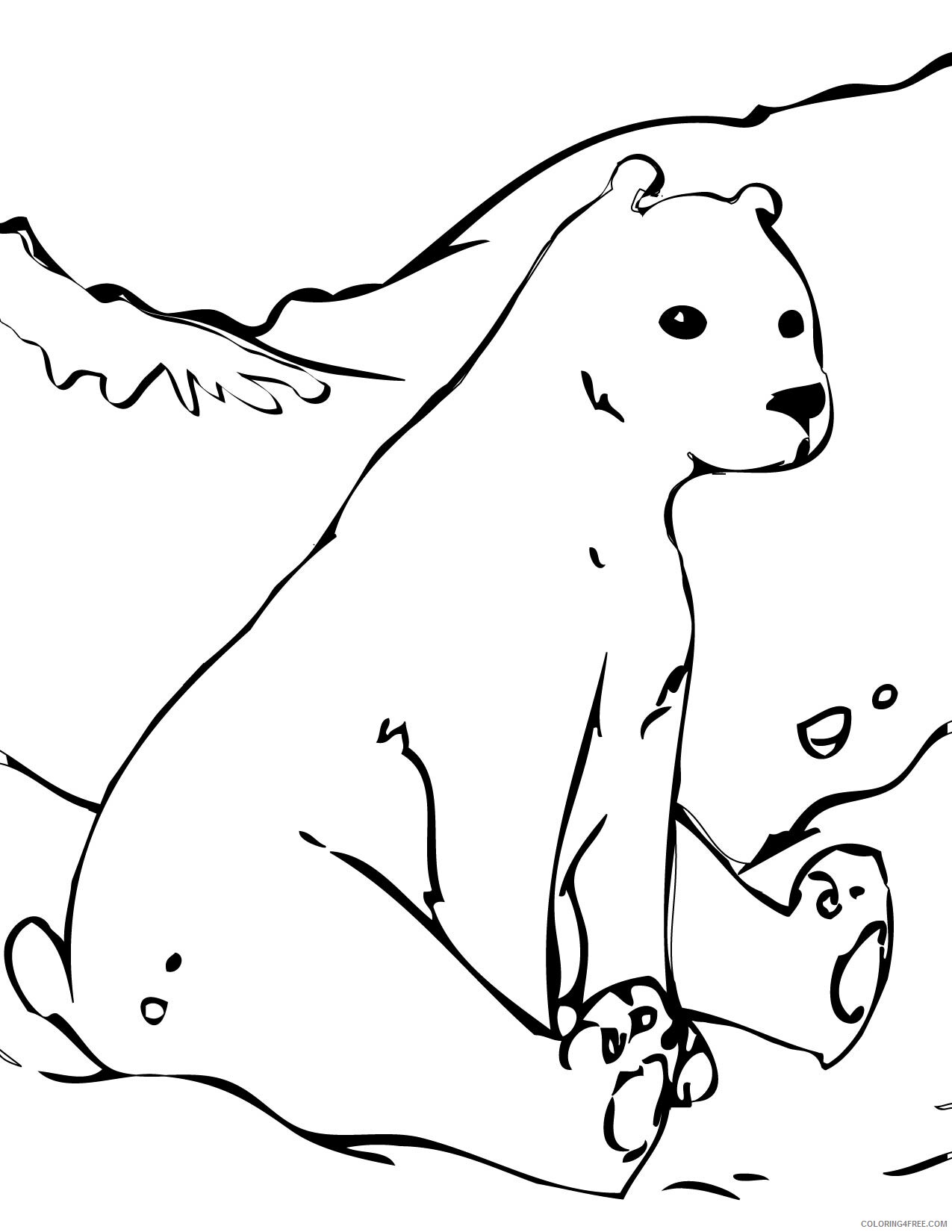Polar Bear Coloring Pages Animal Printable Sheets Polar Bear Images 2021 3978 Coloring4free