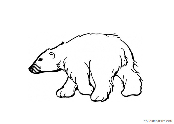 Polar Bear Coloring Pages Animal Printable Sheets Polar bear1 2021 3968 Coloring4free