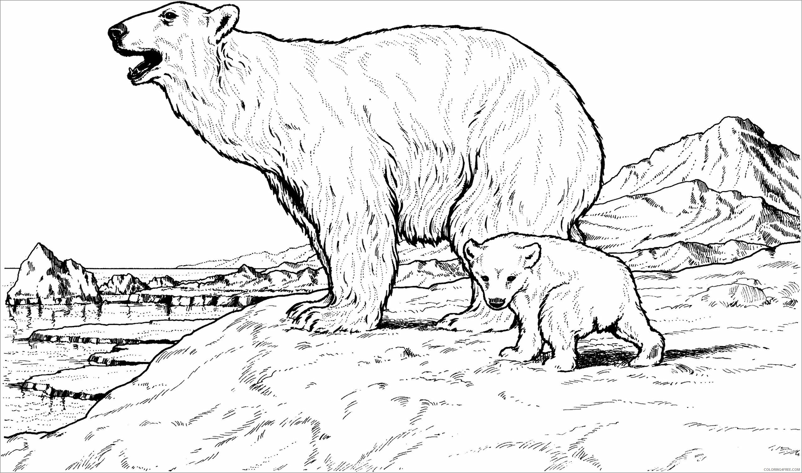 Polar Bear Coloring Pages Animal Printable Sheets polar bear 2021 3981 Coloring4free