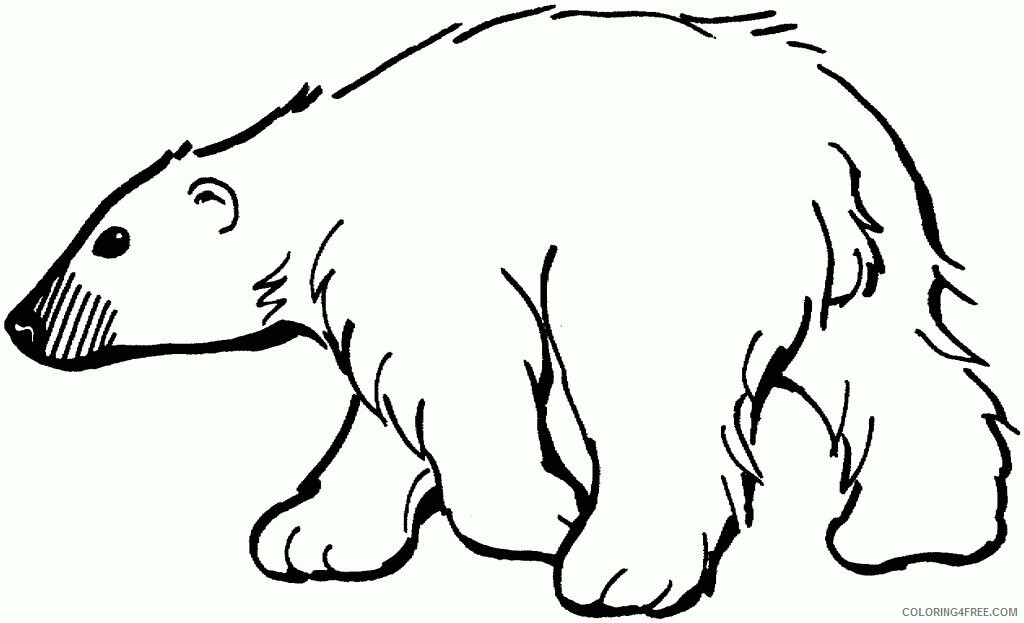 Polar Bear Coloring Sheets Animal Coloring Pages Printable 2021 3348 Coloring4free
