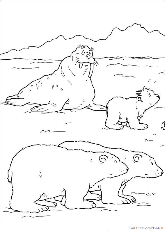 Polar Bear Coloring Sheets Animal Coloring Pages Printable 2021 3360 Coloring4free