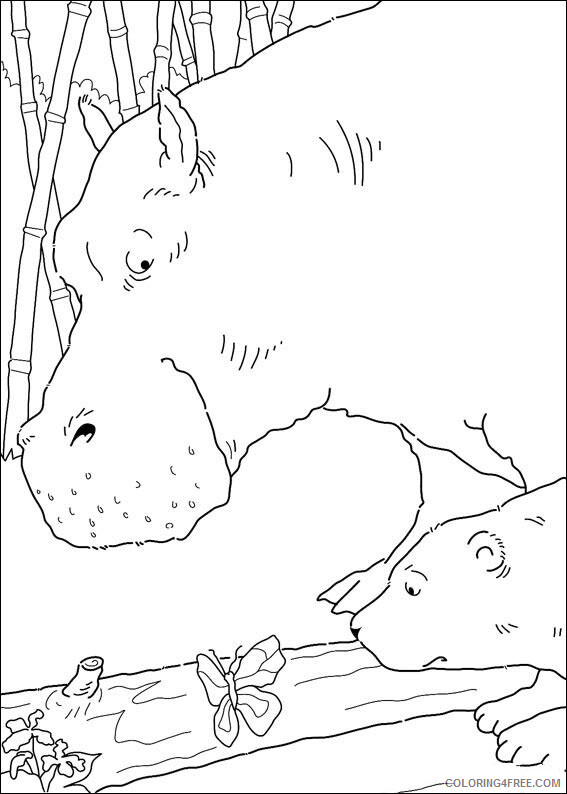 Polar Bear Coloring Sheets Animal Coloring Pages Printable 2021 3365 Coloring4free