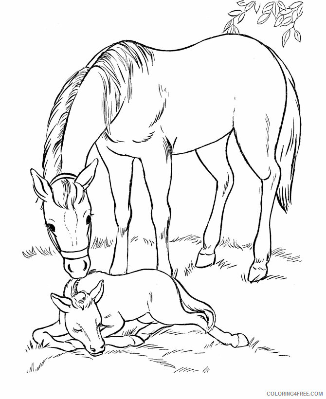 Pony Coloring Pages Animal Printable Sheets Pony 2021 3993 Coloring4free