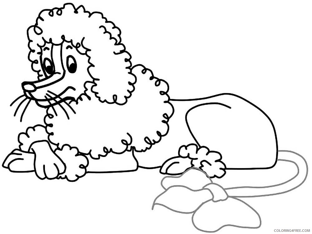 Poodle Coloring Pages Animal Printable Sheets Poodle 6 2021 4017 Coloring4free