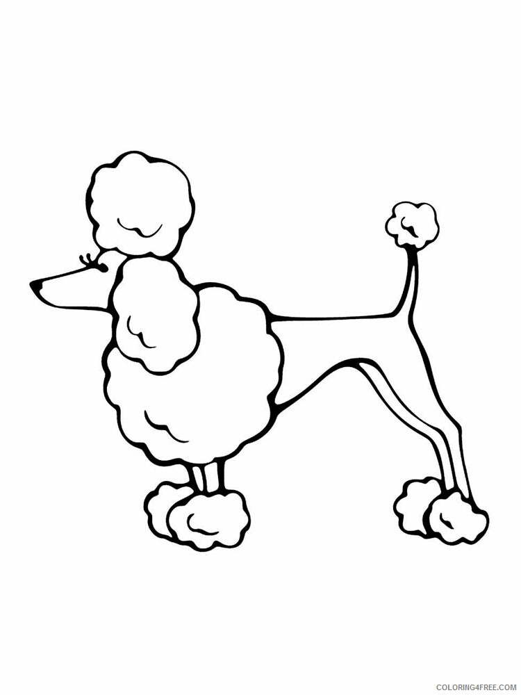 Poodle Coloring Pages Animal Printable Sheets Poodle 8 2021 4018 Coloring4free