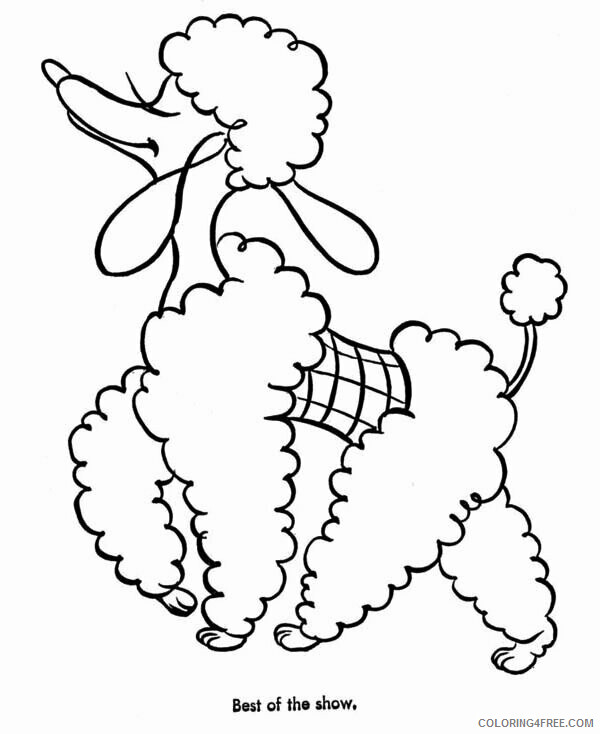 Poodle Coloring Pages Animal Printable Sheets Proud Poodle 2021 4022 Coloring4free