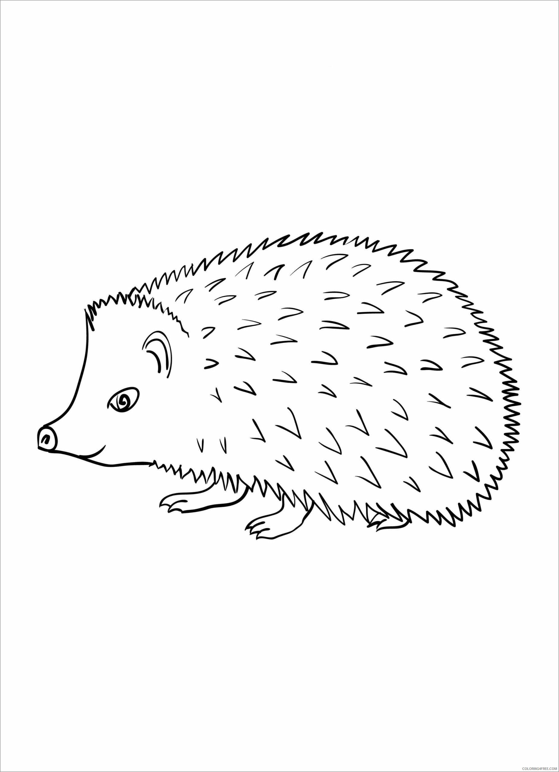 Porcupine Coloring Pages Animal Printable Sheets baby porcupines for kids 2021 Coloring4free