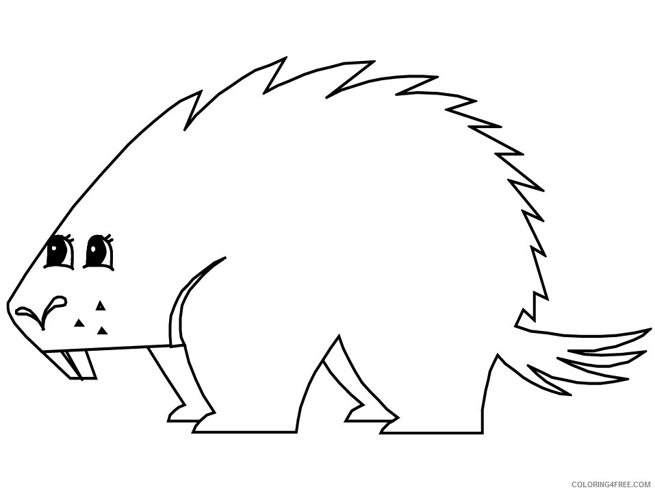 Porcupine Coloring Pages Animal Printable Sheets porcupine 2021 4025 Coloring4free