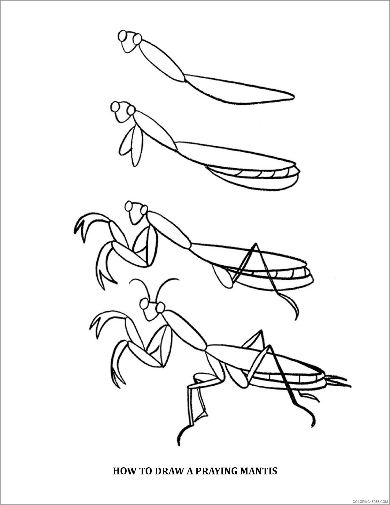 Praying Mantis Coloring Pages Animal Printable how to draw praying mantis 2021 Coloring4free