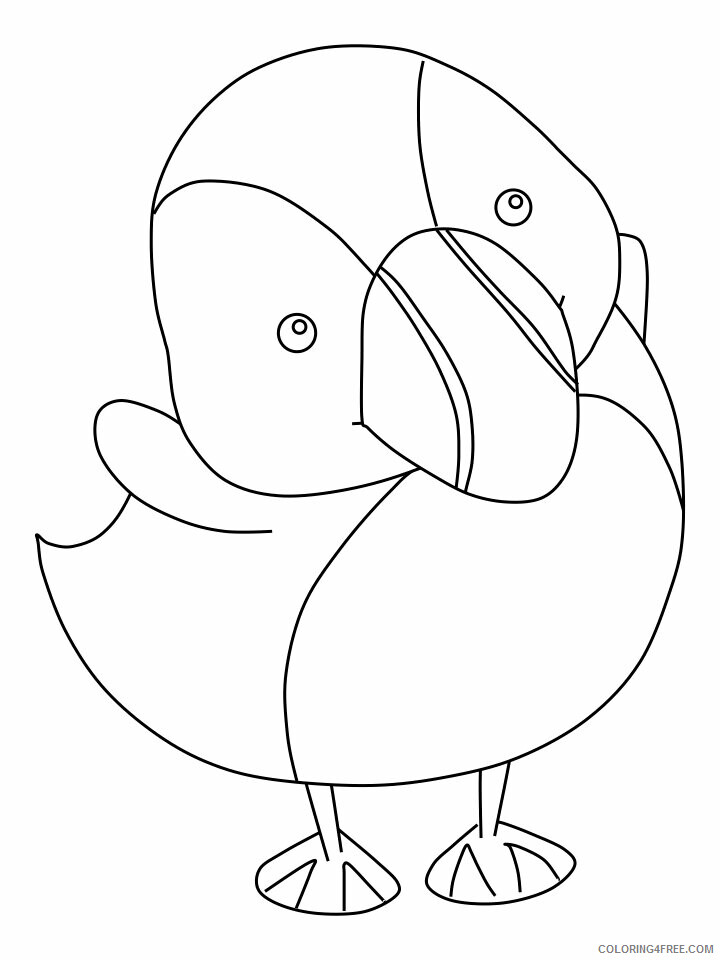 Puffins Coloring Pages Animal Printable Sheets cartoon puffin 1 2021 4033 Coloring4free