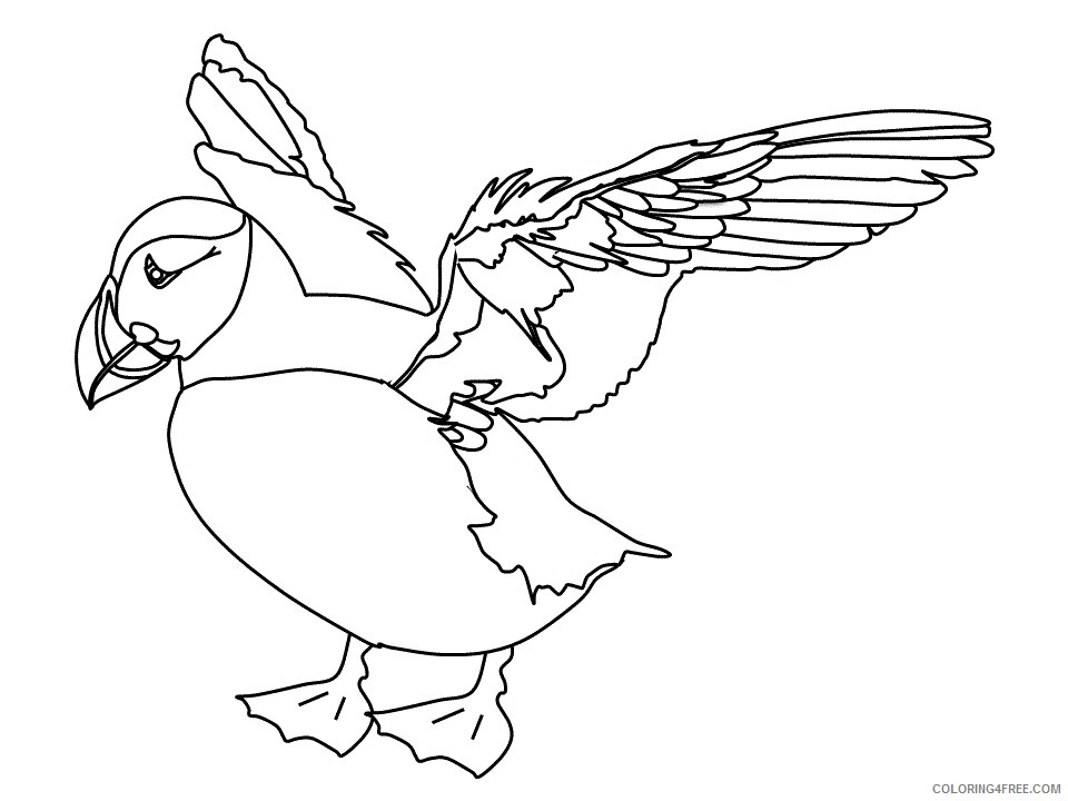 Puffins Coloring Pages Animal Printable Sheets puffin wings 2021 4041 Coloring4free