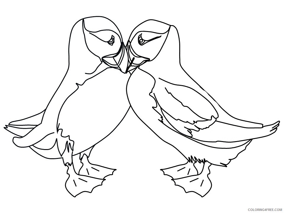 Puffins Coloring Pages Animal Printable Sheets puffins together 2021 4040 Coloring4free