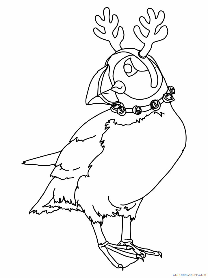 Puffins Coloring Pages Animal Printable Sheets reindeer puffin 2021 4042 Coloring4free