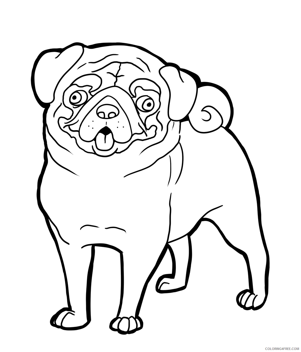 Pug Coloring Pages Animal Printable Sheets Free Pug 2021 4047 Coloring4free