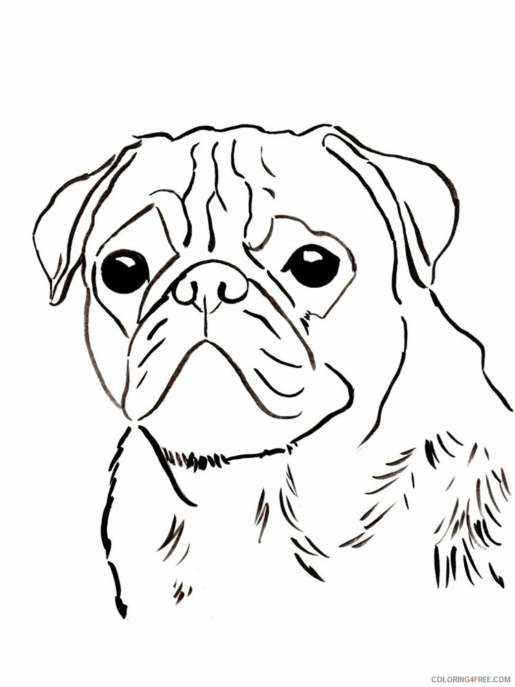 Pug Coloring Pages Animal Printable Sheets Pug 3 2021 4055 Coloring4free