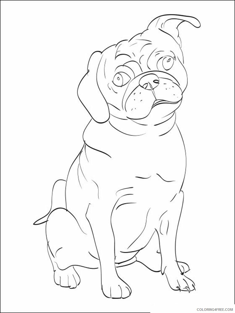 Pug Coloring Pages Animal Printable Sheets Pug 8 2021 4059 Coloring4free