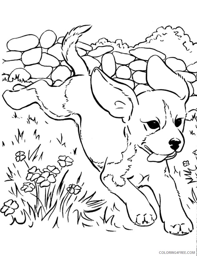 Puppy Coloring Sheets Animal Coloring Pages Printable 2021 3536 Coloring4free