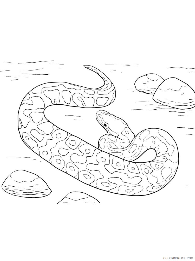 Python Coloring Pages Animal Printable Sheets python 11 2021 4125 Coloring4free