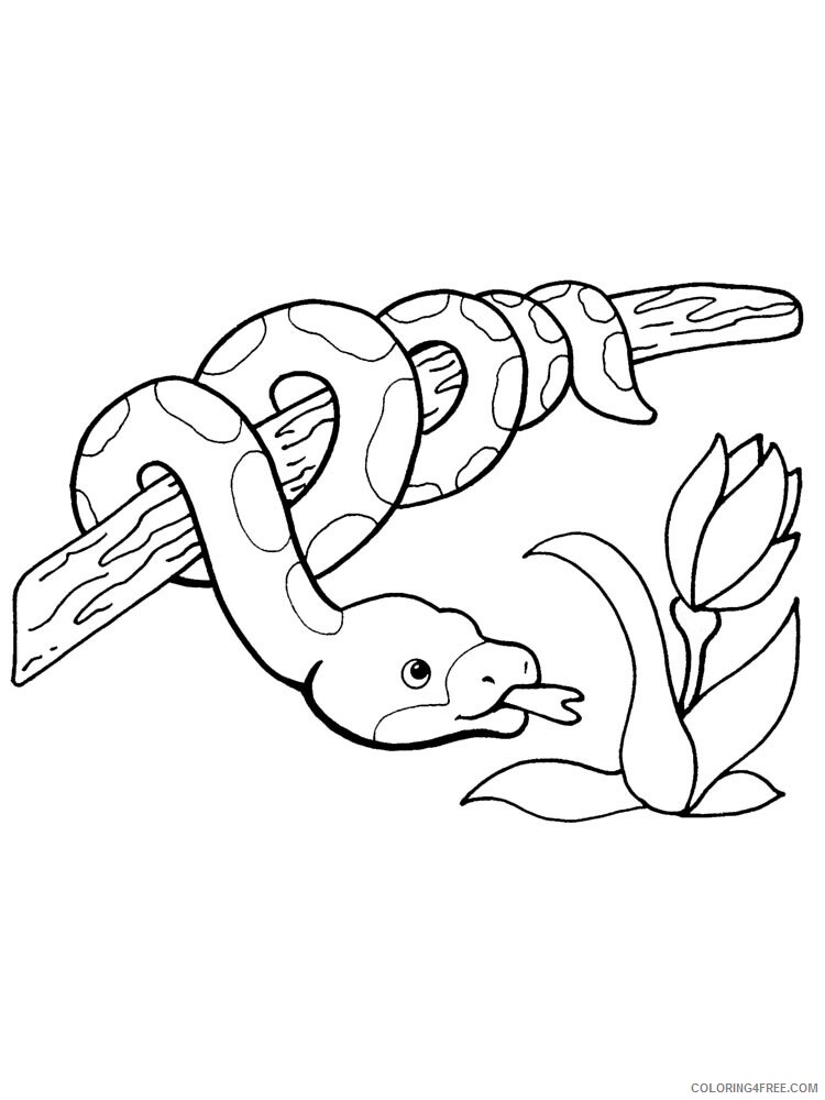 Python Coloring Pages Animal Printable Sheets python 5 2021 4128 Coloring4free