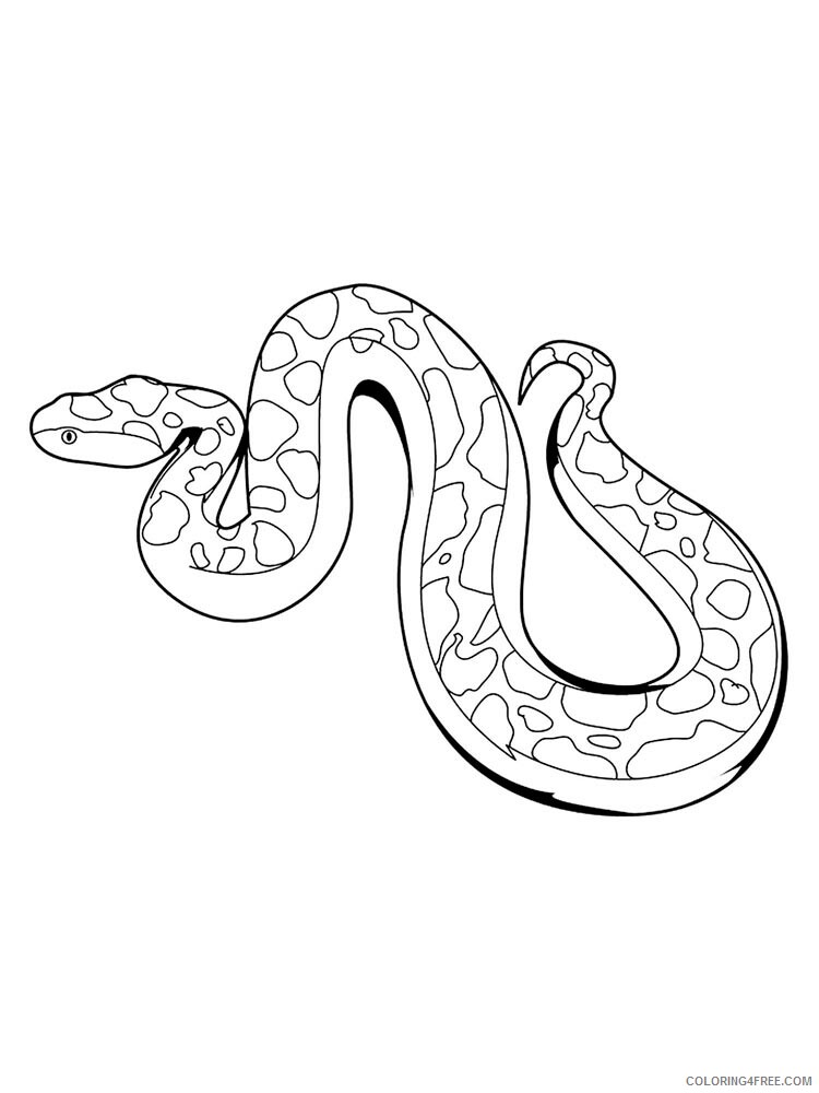 Python Coloring Pages Animal Printable Sheets python 6 2021 4129 Coloring4free