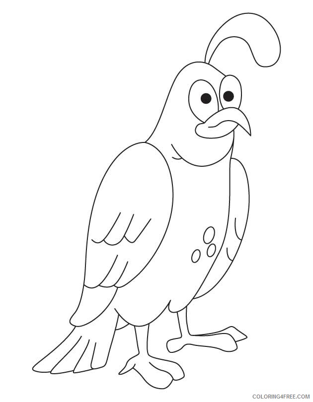 Quail Coloring Sheets Animal Coloring Pages Printable 2021 3573 Coloring4free
