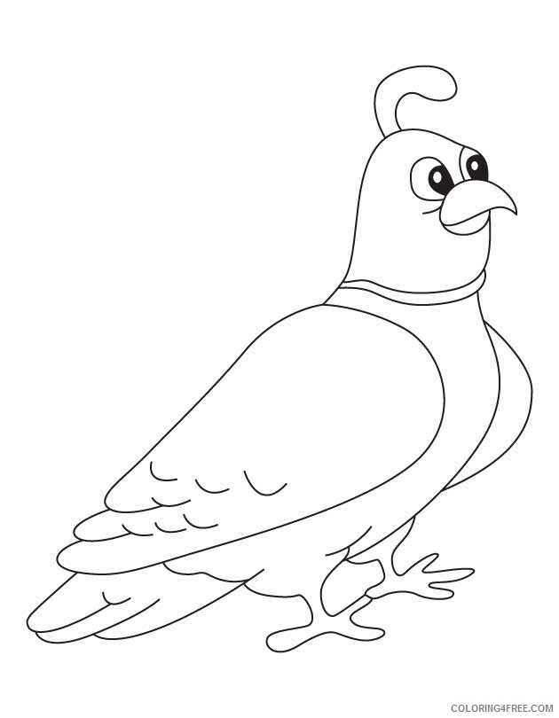 Quail Coloring Sheets Animal Coloring Pages Printable 2021 3574 Coloring4free