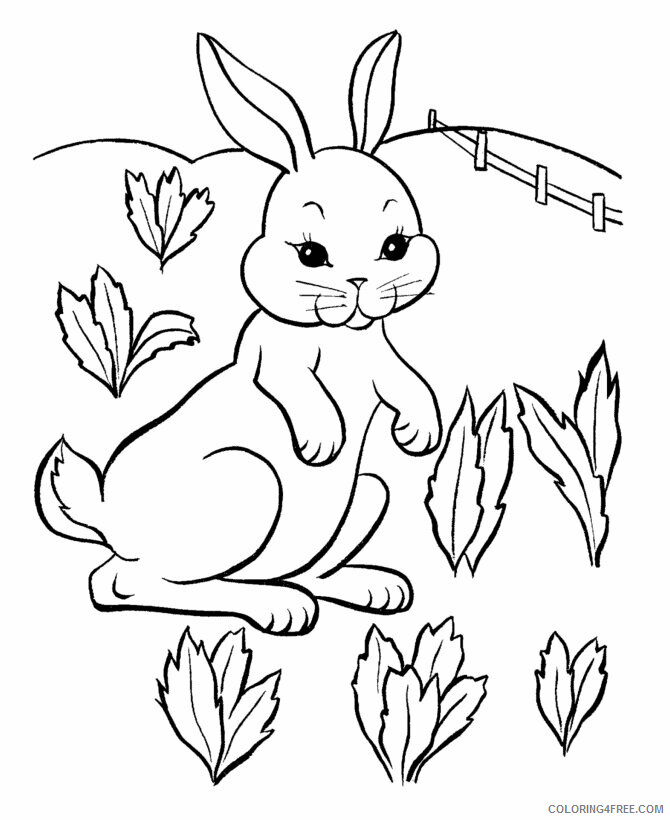 Rabbit Coloring Pages Animal Printable Sheets Easter Rabbit 2021 4155 Coloring4free