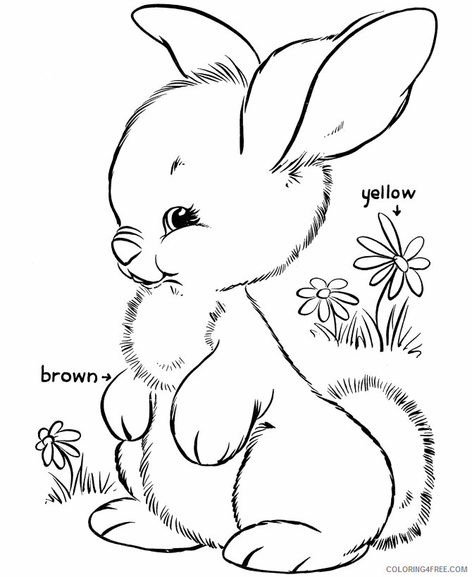 Rabbit Coloring Pages Animal Printable Sheets Easter Rabbit 2021 4156 Coloring4free