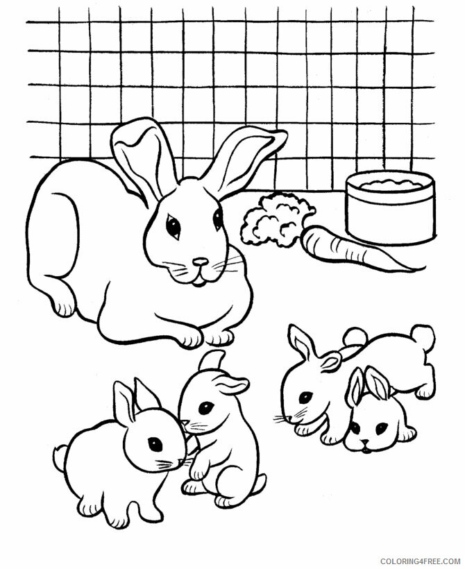 Rabbit Coloring Pages Animal Printable Sheets Rabbit 2021 4184 Coloring4free