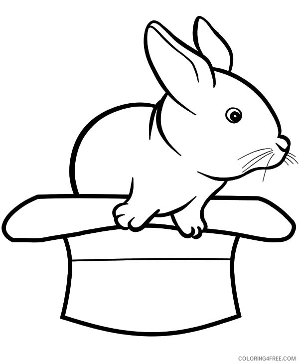 Rabbit Coloring Pages Animal Printable Sheets Rabbits Come Out from a Hat 2021 Coloring4free