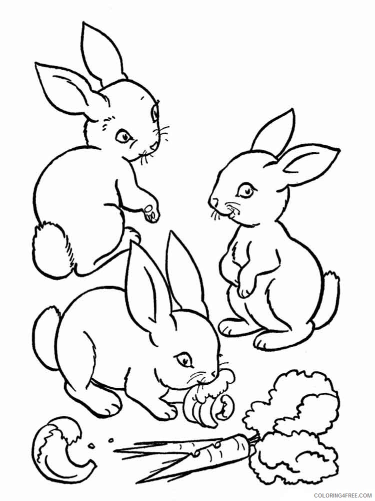 Rabbit Coloring Pages Animal Printable Sheets animals rabbits 12 2021 4141 Coloring4free