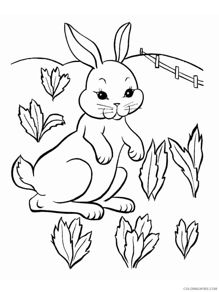 Rabbit Coloring Pages Animal Printable Sheets animals rabbits 16 2021 4143 Coloring4free