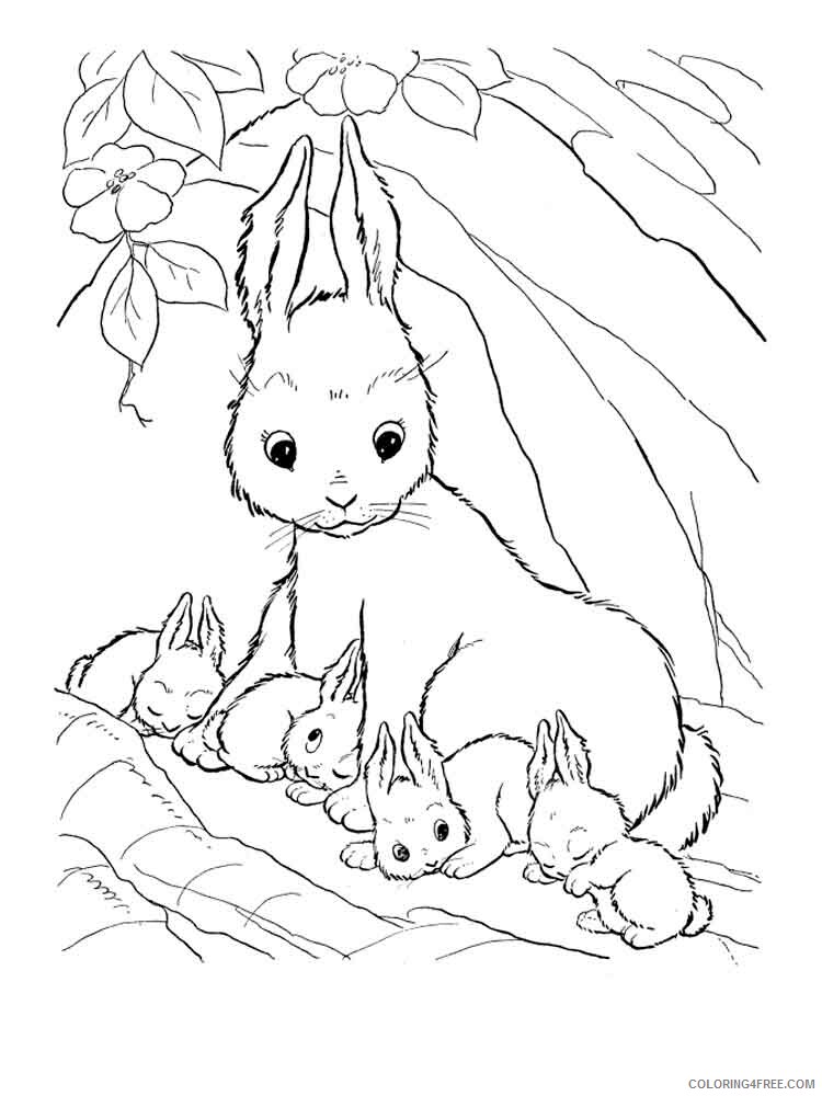 Rabbit Coloring Pages Animal Printable Sheets animals rabbits 19 2021 4145 Coloring4free
