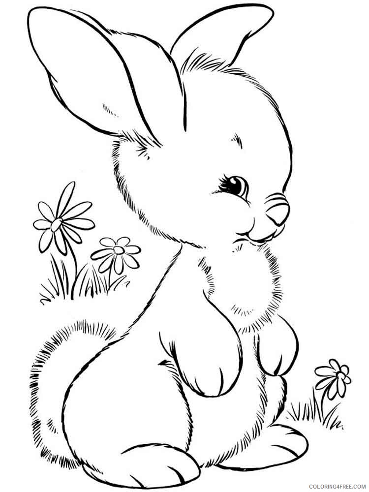 Rabbit Coloring Pages Animal Printable Sheets animals rabbits 4 2021 4147 Coloring4free