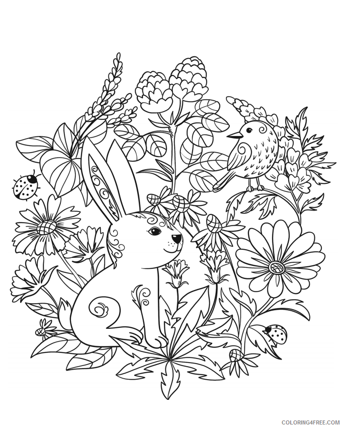 Rabbit Coloring Pages Animal Printable Sheets rabbit 3 2021 4176 Coloring4free