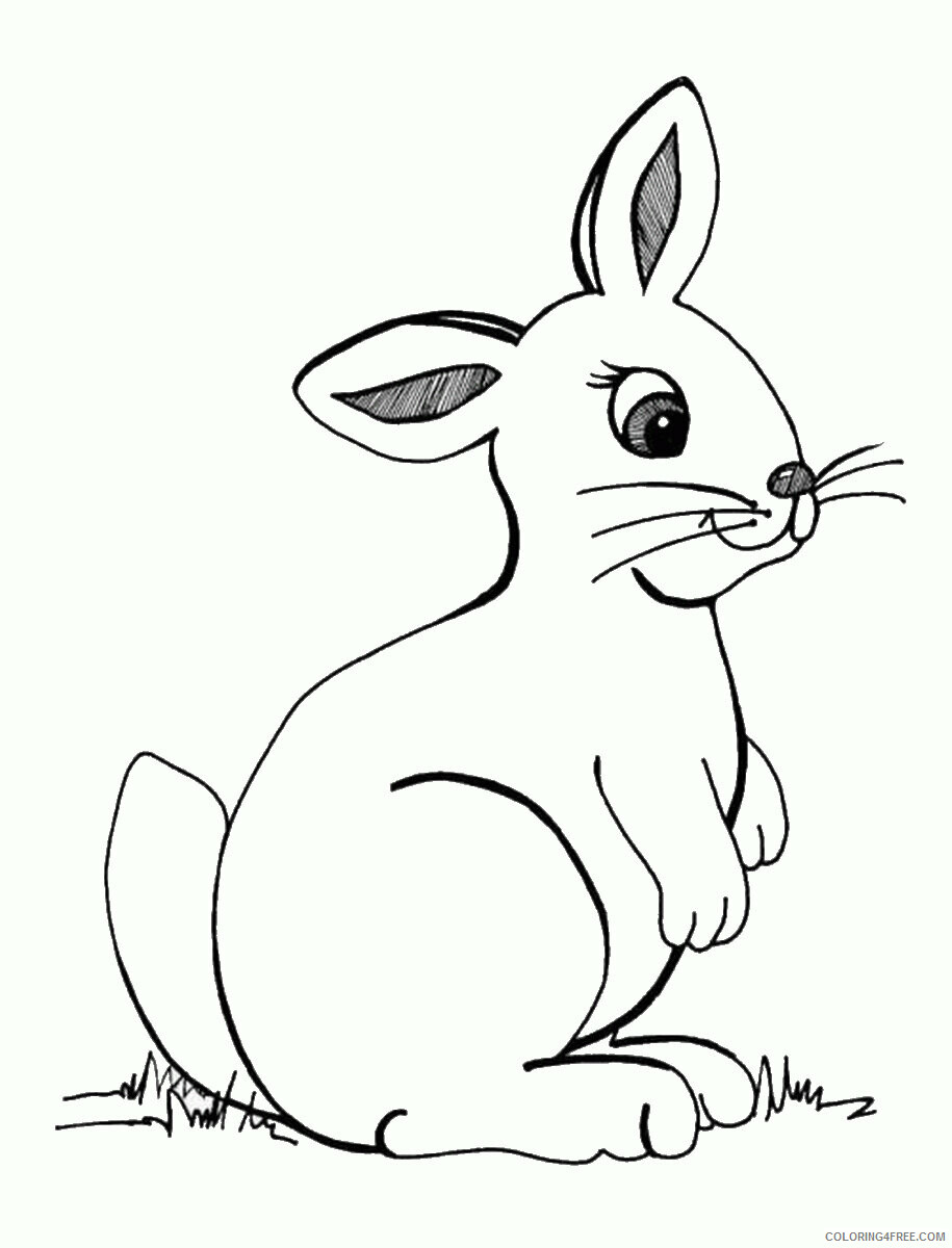 Rabbit Coloring Pages Animal Printable Sheets rabbit_cl21 2021 4171 Coloring4free
