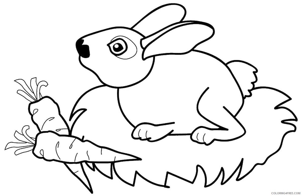 Rabbit Coloring Pages Animal Printable Sheets rabbit_cl3 2021 4172 Coloring4free