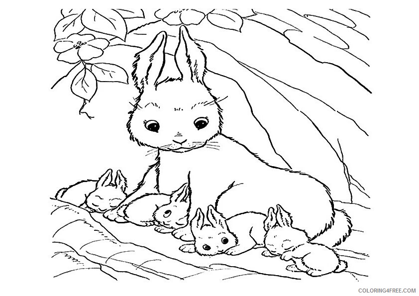 Rabbit Coloring Sheets Animal Coloring Pages Printable 2021 3580 Coloring4free