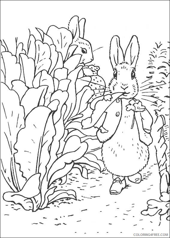 Rabbit Coloring Sheets Animal Coloring Pages Printable 2021 3585 Coloring4free