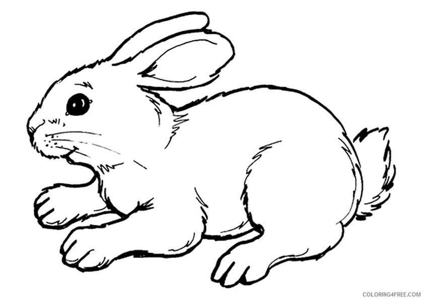 Rabbit Coloring Sheets Animal Coloring Pages Printable 2021 3587 Coloring4free