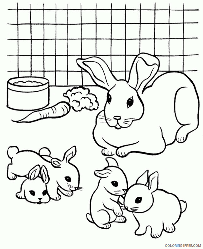 Rabbit Coloring Sheets Animal Coloring Pages Printable 2021 3589 Coloring4free