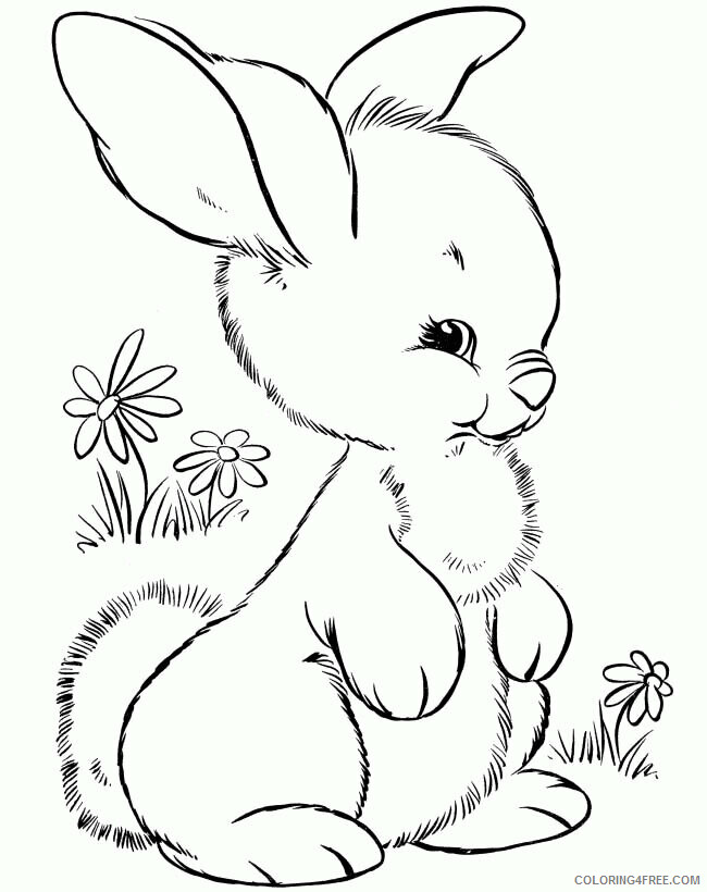 Rabbit Coloring Sheets Animal Coloring Pages Printable 2021 3593 Coloring4free