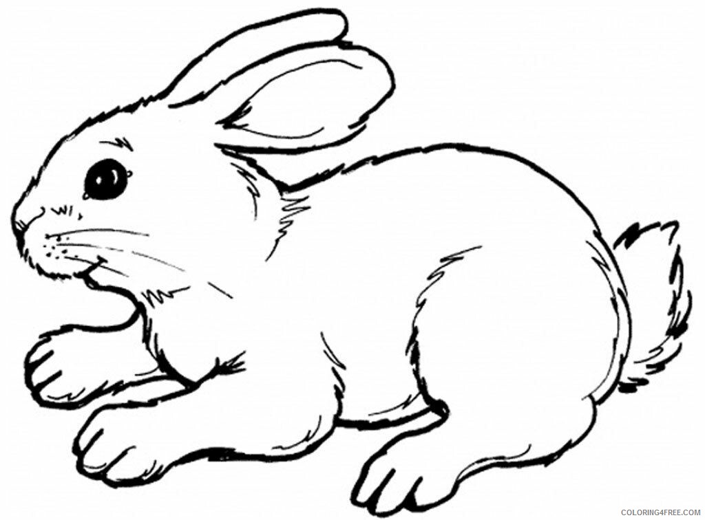 Rabbit Coloring Sheets Animal Coloring Pages Printable 2021 3600 Coloring4free