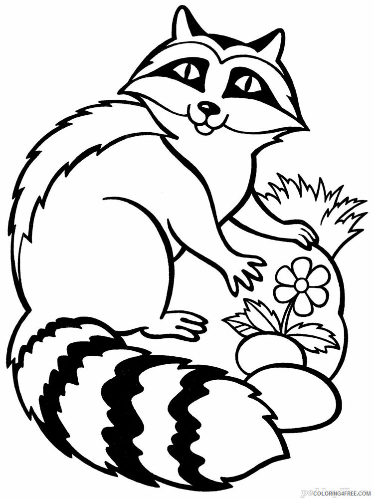 Raccoon Coloring Pages Animal Printable Sheets Raccoon animal 338 2021 4208 Coloring4free