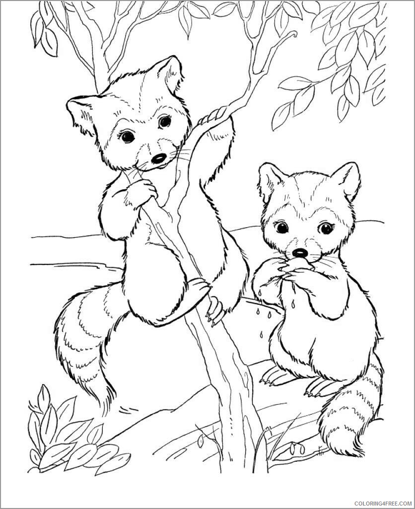 Raccoon Coloring Pages Animal Printable Sheets cute chester raccoon 2021 4198 Coloring4free