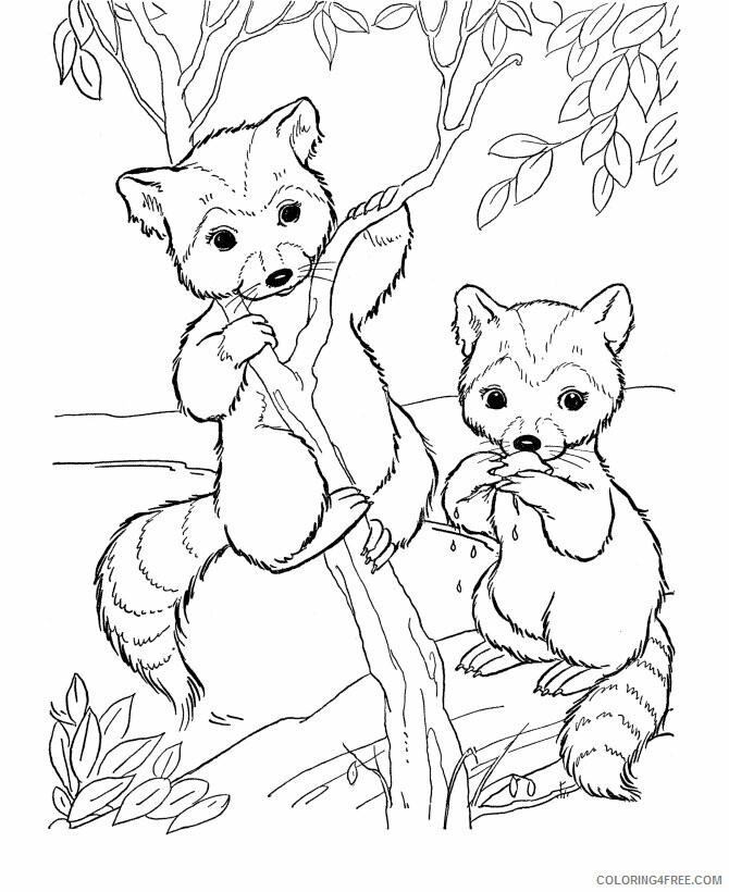 Raccoon Coloring Sheets Animal Coloring Pages Printable 2021 3661 Coloring4free