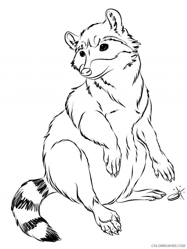 Raccoon Coloring Sheets Animal Coloring Pages Printable 2021 3666 Coloring4free