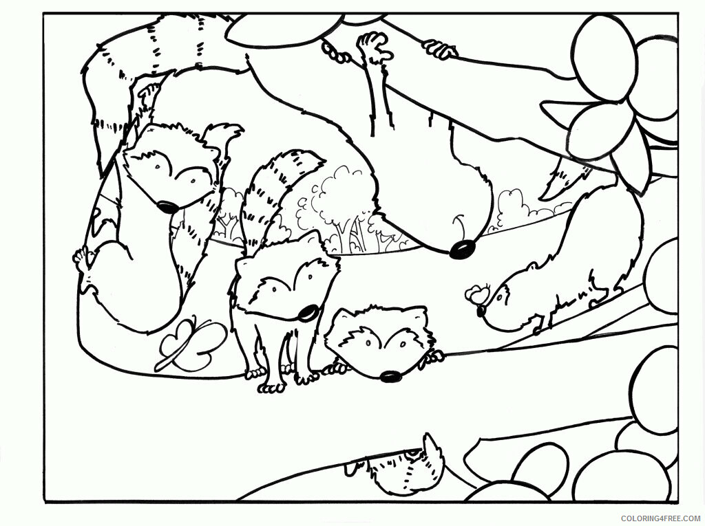 Raccoon Coloring Sheets Animal Coloring Pages Printable 2021 3670 Coloring4free