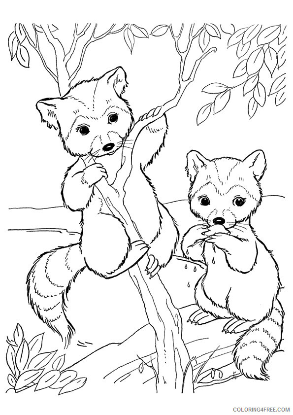 Raccoon Coloring Sheets Animal Coloring Pages Printable 2021 3671 Coloring4free